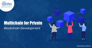 Multichain for Private blockchain
