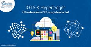 Blockchain Eccentricities: IoT as the Nexus of IOTA and Hyperledger Fabric Solutions