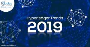 Hyperledger Development and Consulting