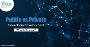 Public and Private Blockchain