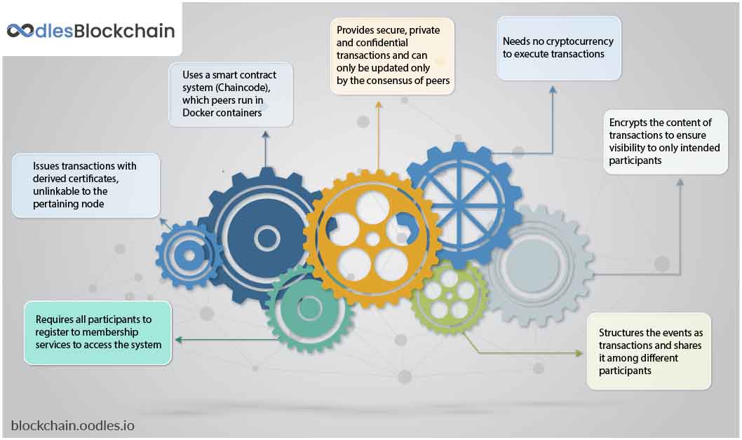 Hyperledger Fabric Development