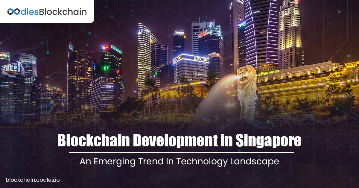 blockchain developer singapore