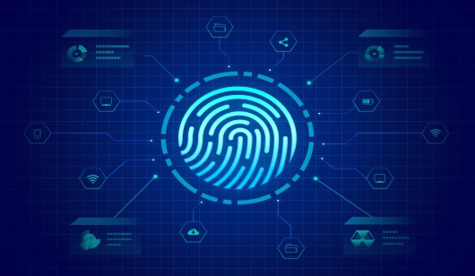 Brazil Digital ID Blockchain