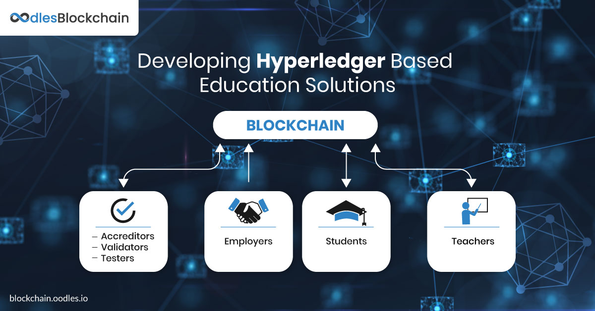 Education-to-employment verification system