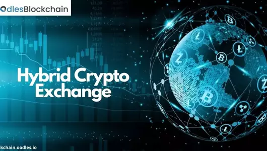 Hybrid Crypto Exchange Model