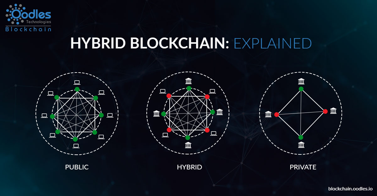 Hybrid Blockchain