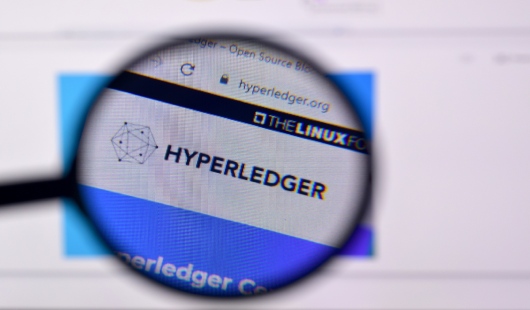 Hyperledger Fabric Blockchain