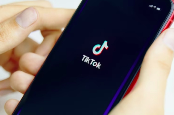 TikTok Videos Crypto Investments