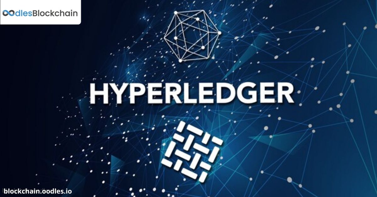 Hyperledger Development