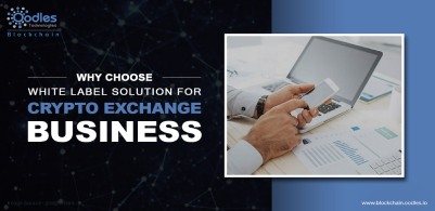 Why-Choose-White-Label-Solution-For-Crypto-Exchange-Business (1)