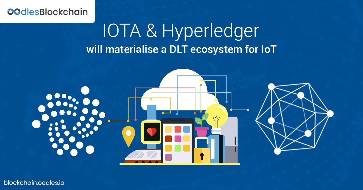 Blockchain Eccentricities: IoT as the Nexus of IOTA and Hyperledger Fabric Solutions